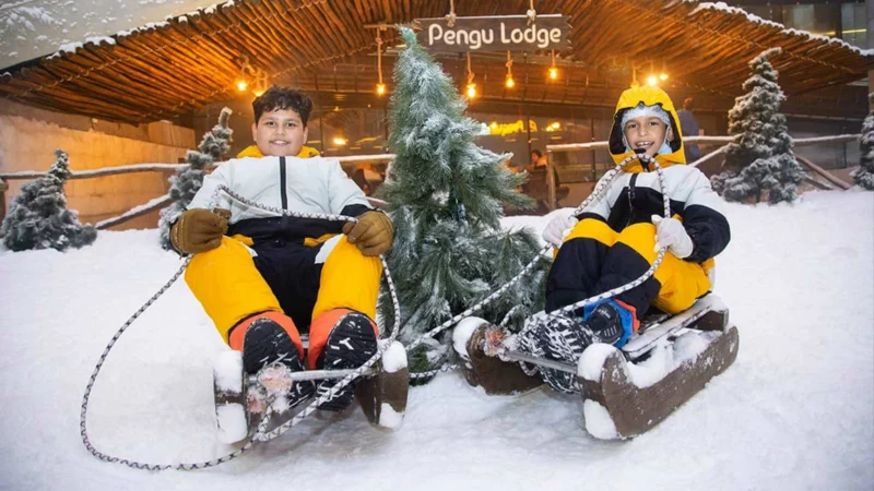 Penguin Snow Park на острове Киш